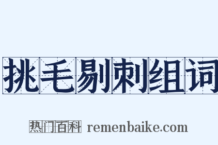 挑毛剔刺组词是什么意思的图片